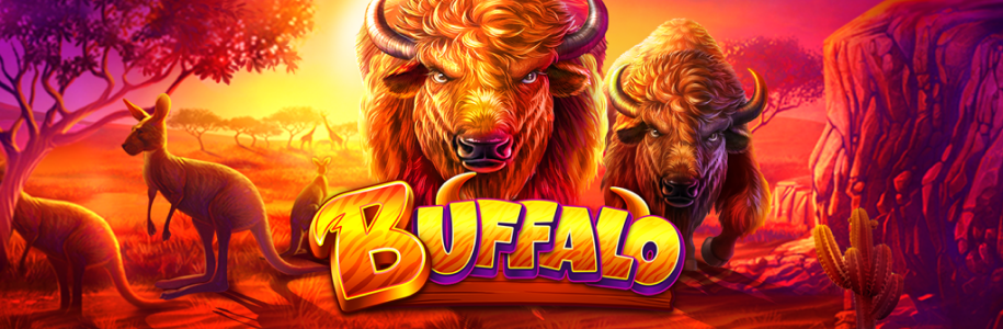 Buffalo Hot Slot Baner Dnia